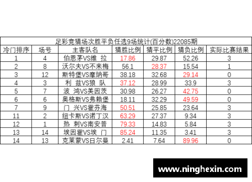 凤凰彩票官网伯恩茅斯客场胜狼队，表现出色积分领先 - 副本